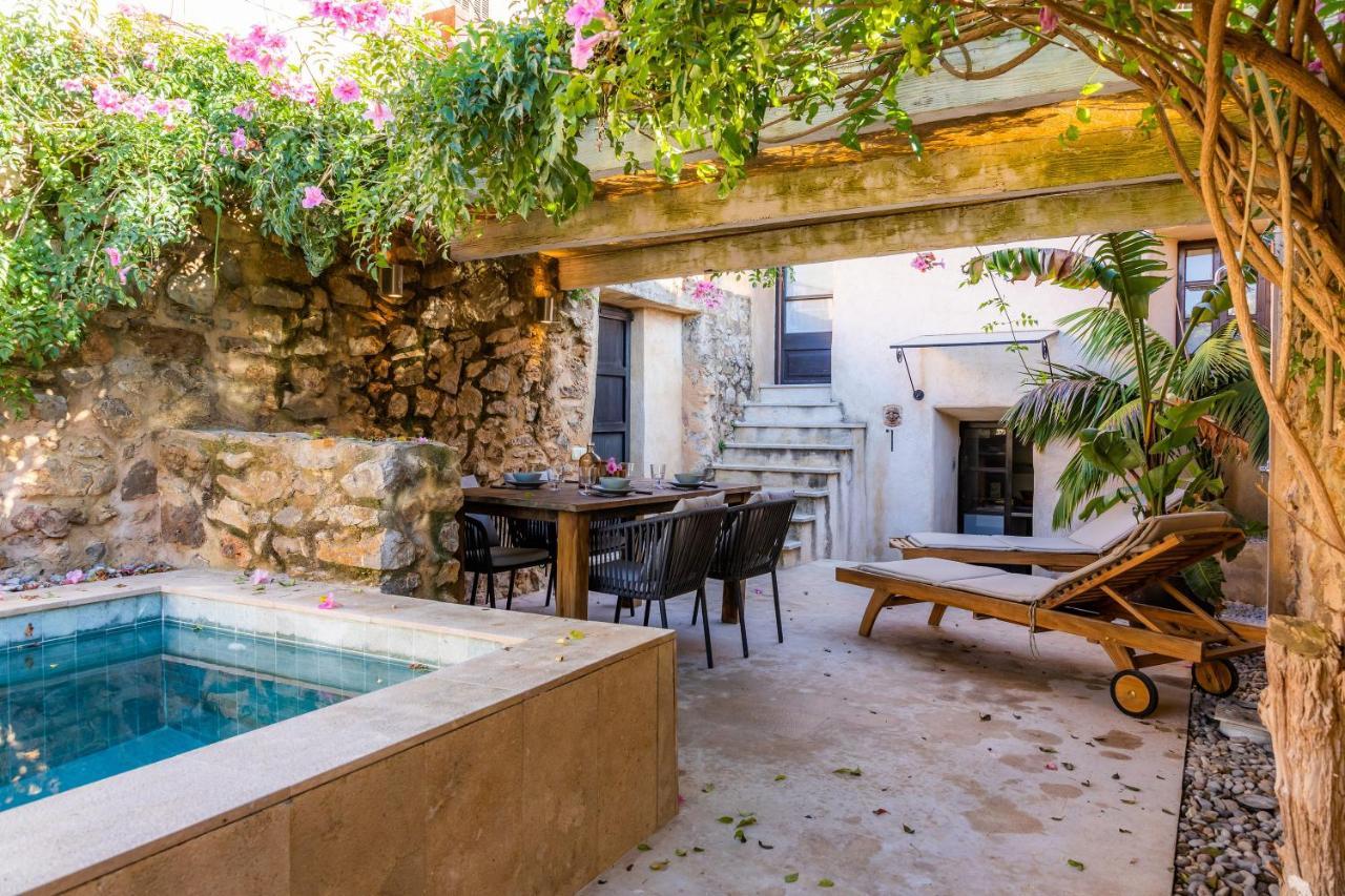 Casa Max Arta